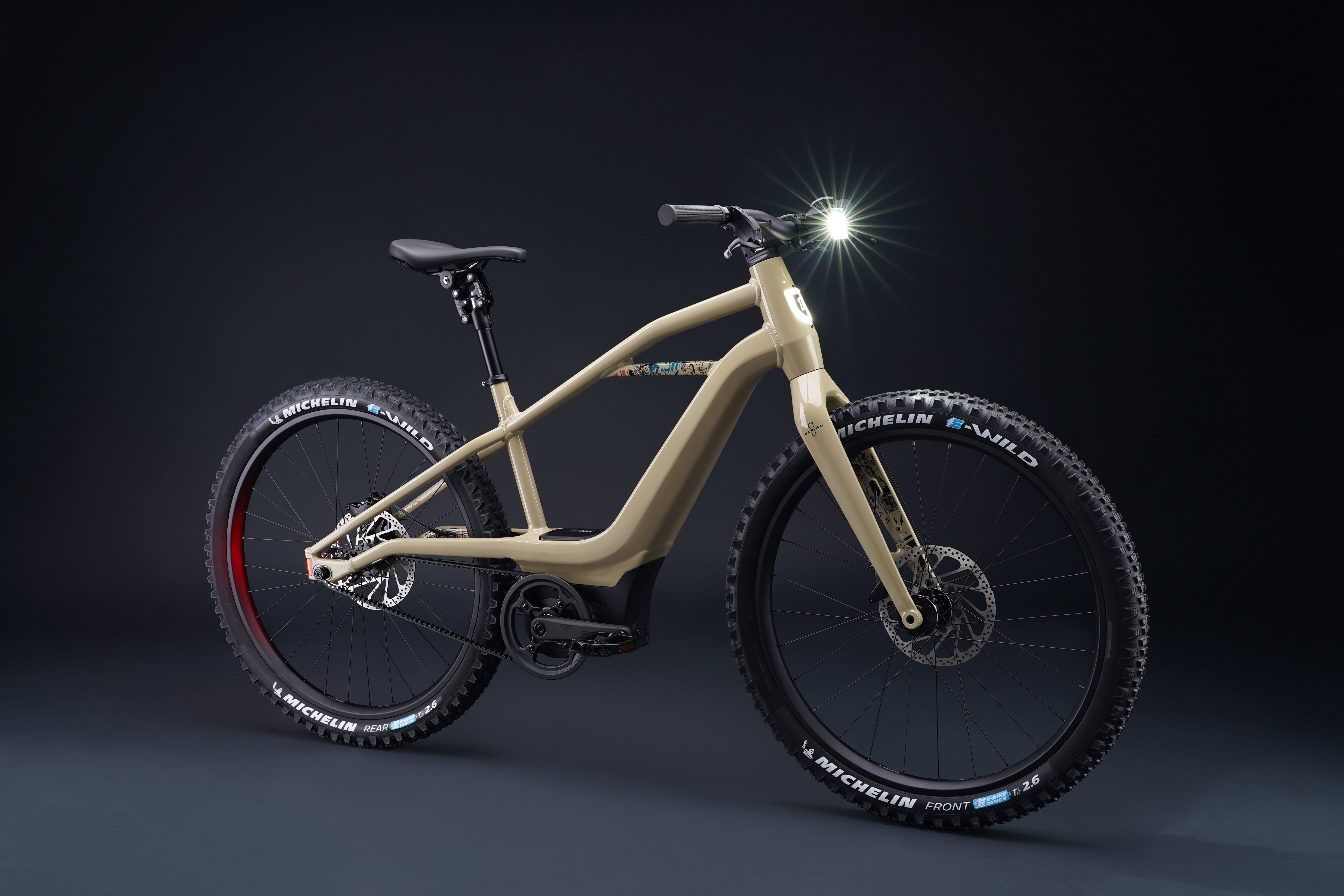 BASH/MTN electric mountain bike